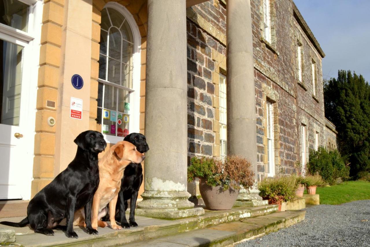 Plas Nanteos Mansion Guest House Aberystwyth Rom bilde